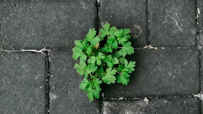 Casino Deposit Win Mobiilirakendus